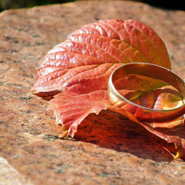 gold necklace ring closeup